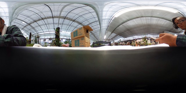 画像の説明 画像の説明