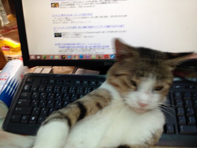 2014-08-19 13 2014-08-19 13